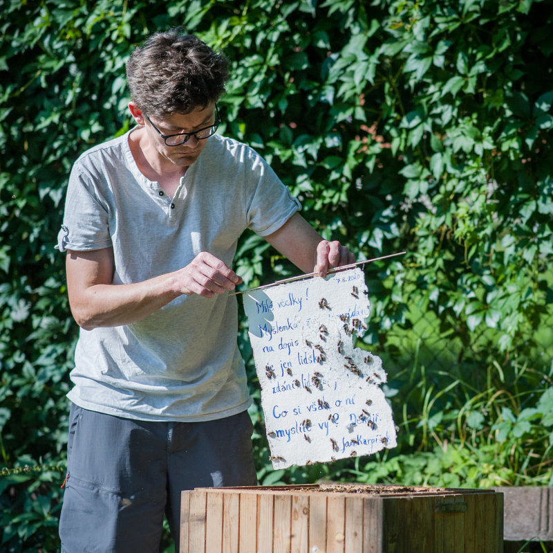 Jan Karpíšek retrieving an art artifact from a beehive at his retrospective exhibition at Josef Jambor Gallery, Tišnov, 2020