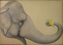 Lucie Ferliková, 2009