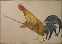 Lucie Ferliková, 2009