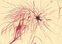 Lucie Ferliková – Pain 1, ballpoint pen on paper, 29.5×21 cm, 2013–14