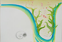 Lucie Ferliková – Composed Drawings Above and Below – Shell, watercolor on watercolor paper, 50×35 cm, 2014