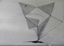 Lucie Ferliková, House outside inside outside, 100x72 cm, china ink, pencil on paper, 2010