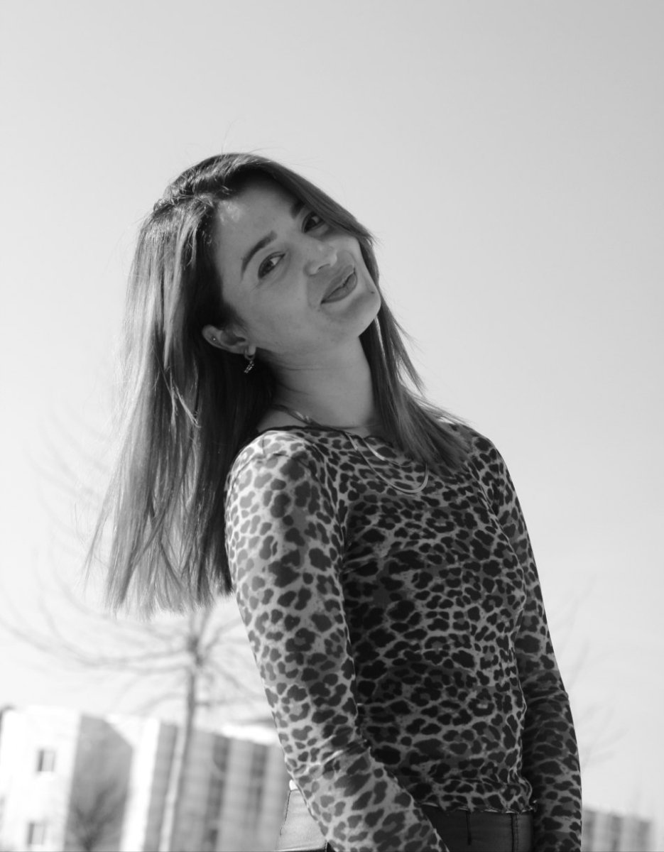 Hatice Atamış, Turkish malířka