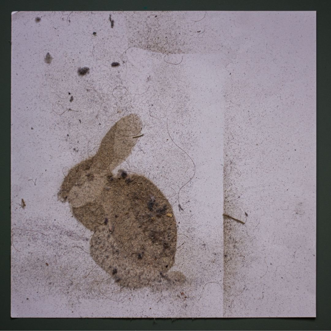 Dust Bunny, prach na papíře, 2022, 30 × 30 cm, foto: K. Kreheľová - artwork by Lenka Zadražilová