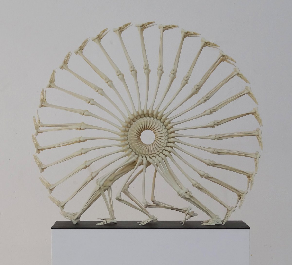 Wheel of Life (2012) - artwork by Monika Váňová Horčicová