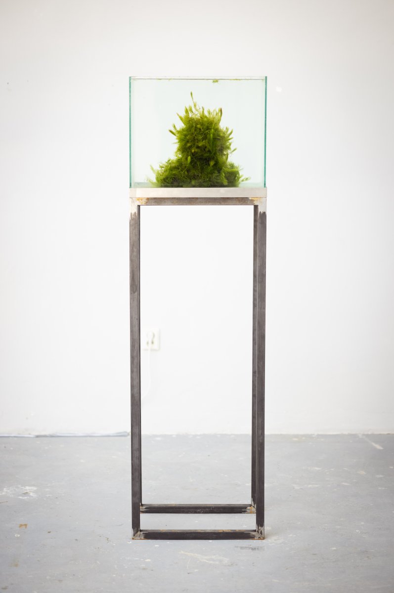 growth limit, 2023. Foto: Radek Dětinský, @avufoto - artwork by Klára Samcová