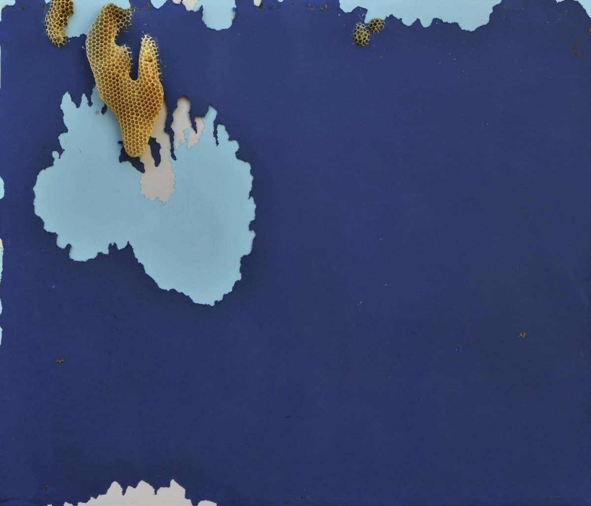 Abstraction by Bees #3, honeybees interaction / colored papers, 70×80 cm, 2018 - artwork by Jan Karpíšek