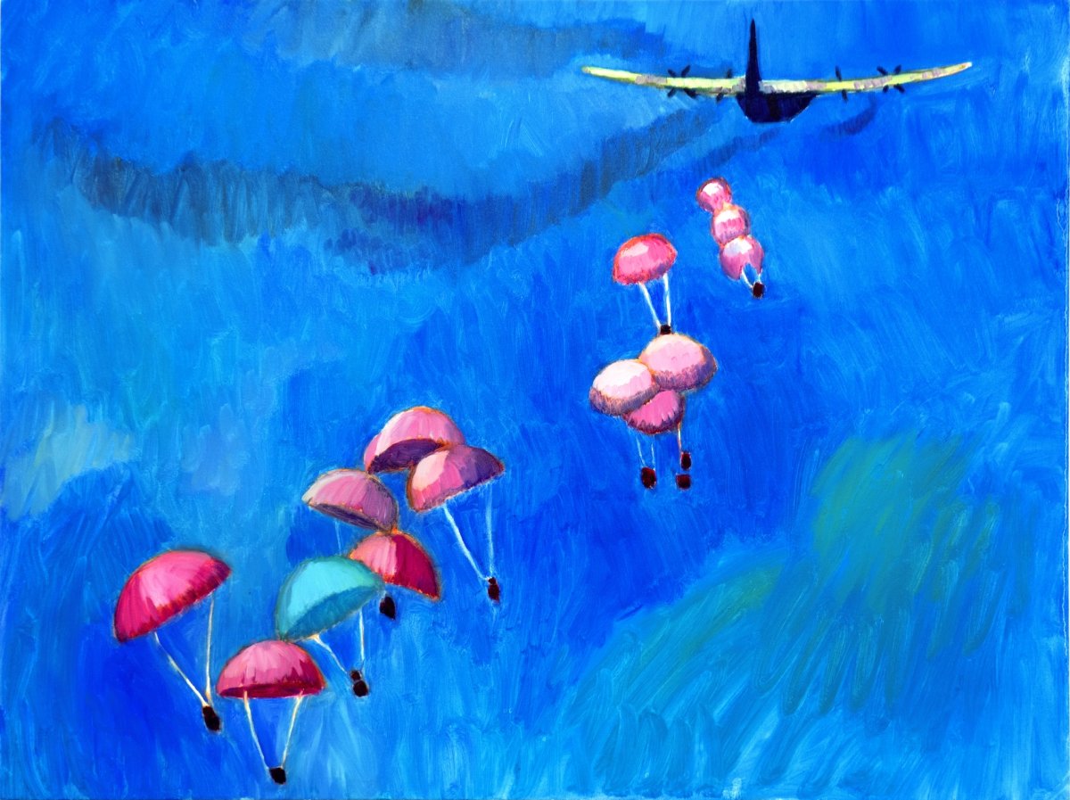 Jordanian Airplane Dropping Humanitarian Aid - artwork by Tal Hagi