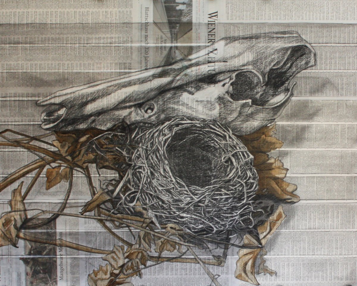 Wiener Zeitung, 2023, Charcoal on Newsprint, 80 x 100 cm - artwork by Andy Wallenta