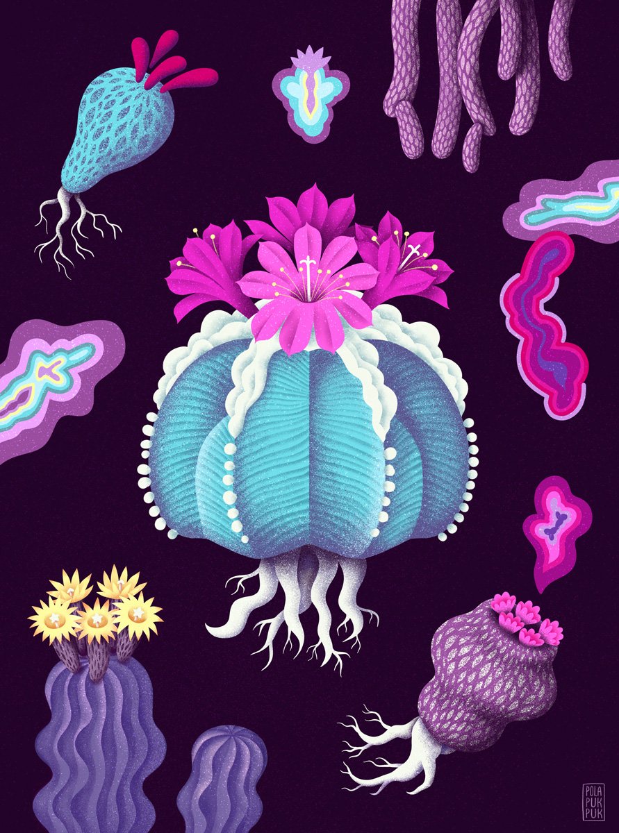 Moji kaktusí přátelé - dílo od Petra Pohlová