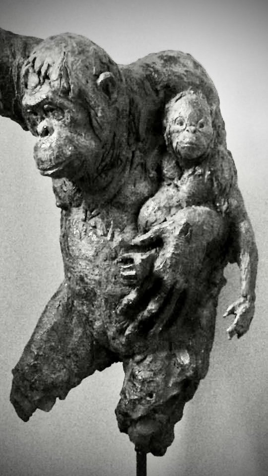 Orangoutan - artwork by Christian Siméon