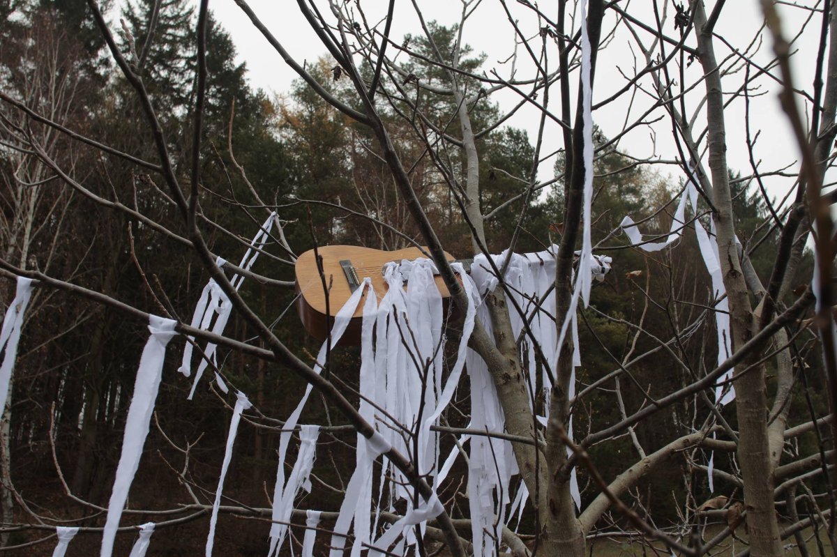 Tree Burial, 2019 - artwork by Jakub Orel Tomáš