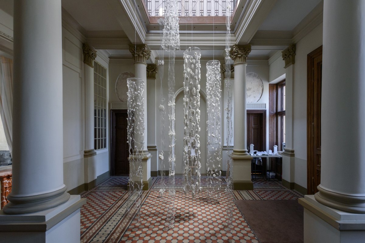 Installation of Porcelain Flowers and Plants “Biophilia”, 2025–2026 - artwork by Diana Grochovska