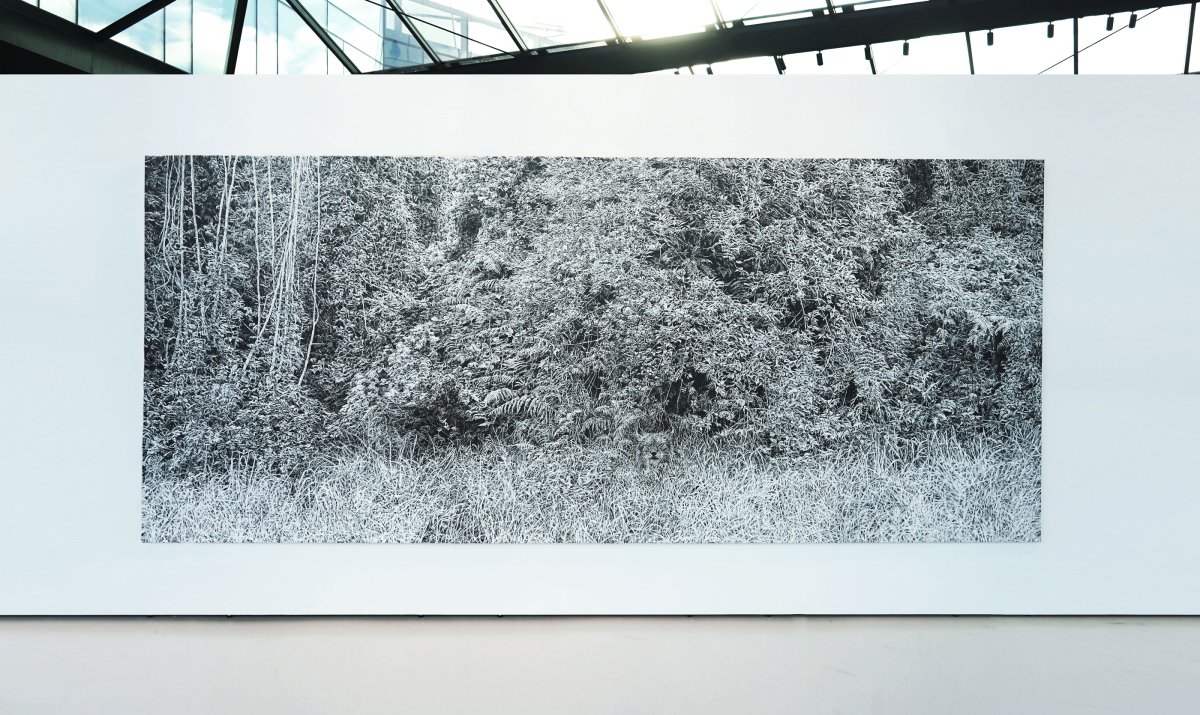 exhibition “I Met Myself in the Forest”, Artium by KKCG Gallery in Prague, 2024–2025 - artwork by Lenka Falušiová