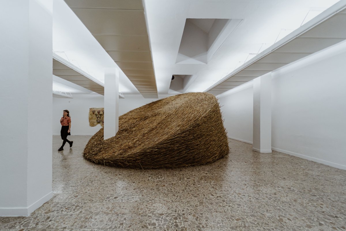 Harvest, Blansko Exhibition, 2023 - artwork by Tereza Holá