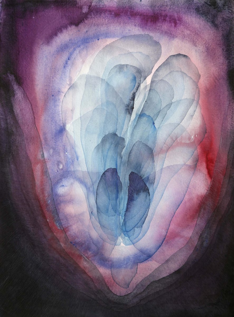 Vlčí máky,  70 x 50 cm, akvarel na ručním papíře, 2026 - artwork by Pavla Gajdošíková