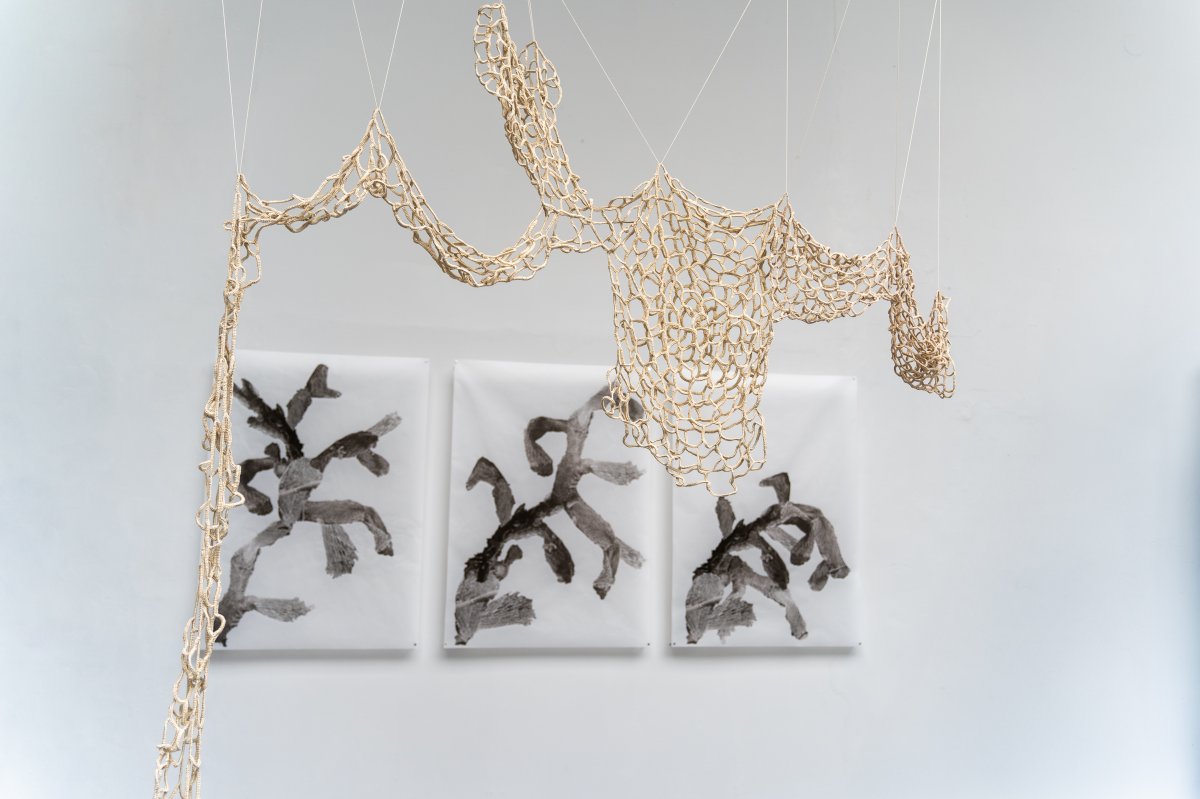 lost sharpness, 2022 - artwork by Klára Samcová