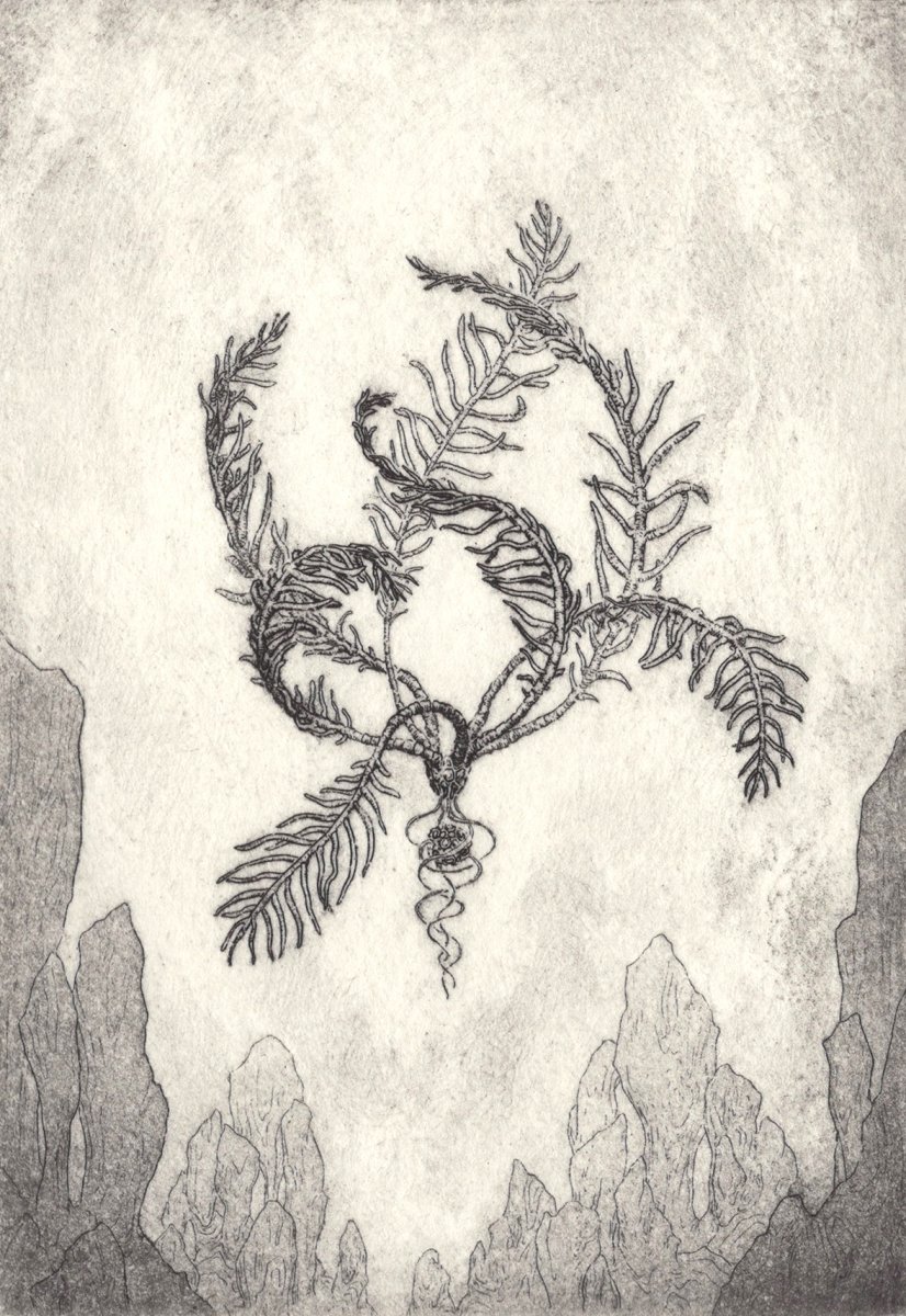 Petra Fraňková artwork 3