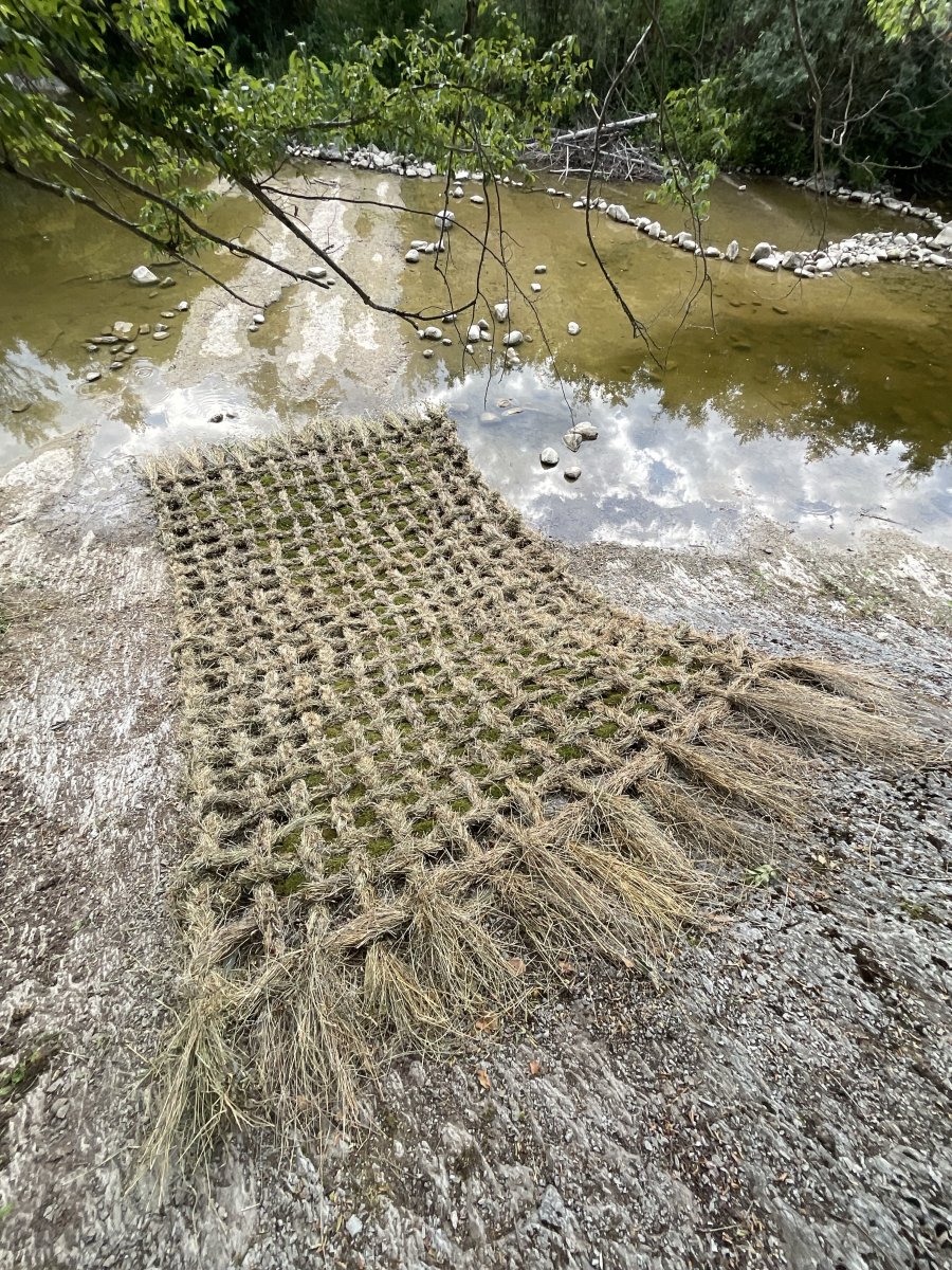 Mow the lawn and go for a swim in the river, Bulgaria, 2025 - artwork by Tereza Holá