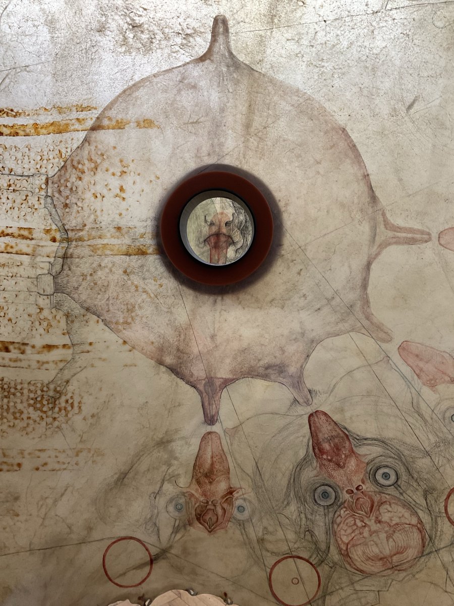 Through the Opening in the Rumen, Licked from Within, ExPost Prague, 2023 - artwork by Tereza Holá