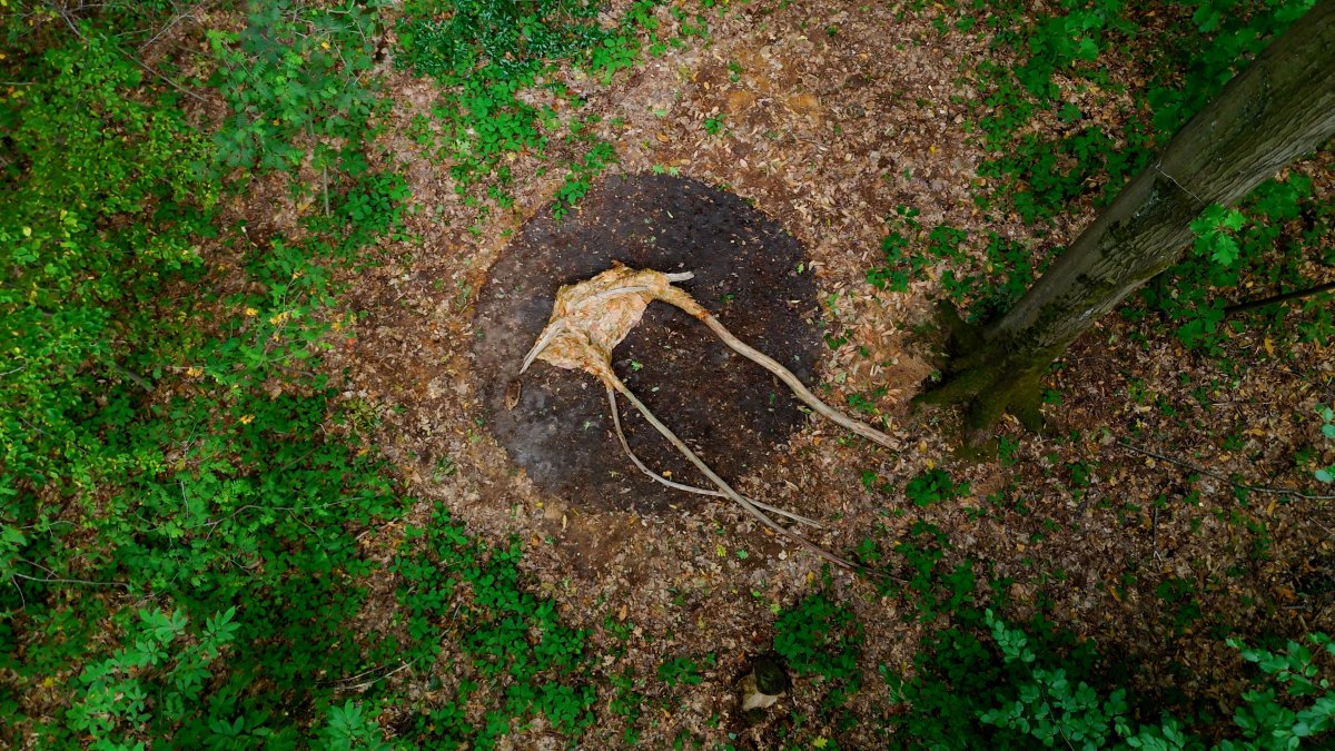 The skin through which you breathed for me, 2025 - artwork by Tereza Holá