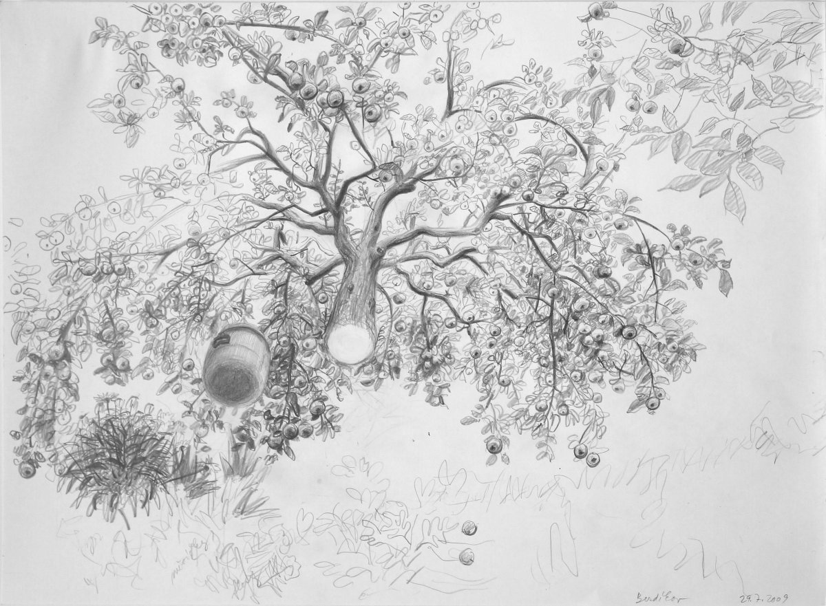 Apple Tree, 2012 - artwork by Libuše Vendlová