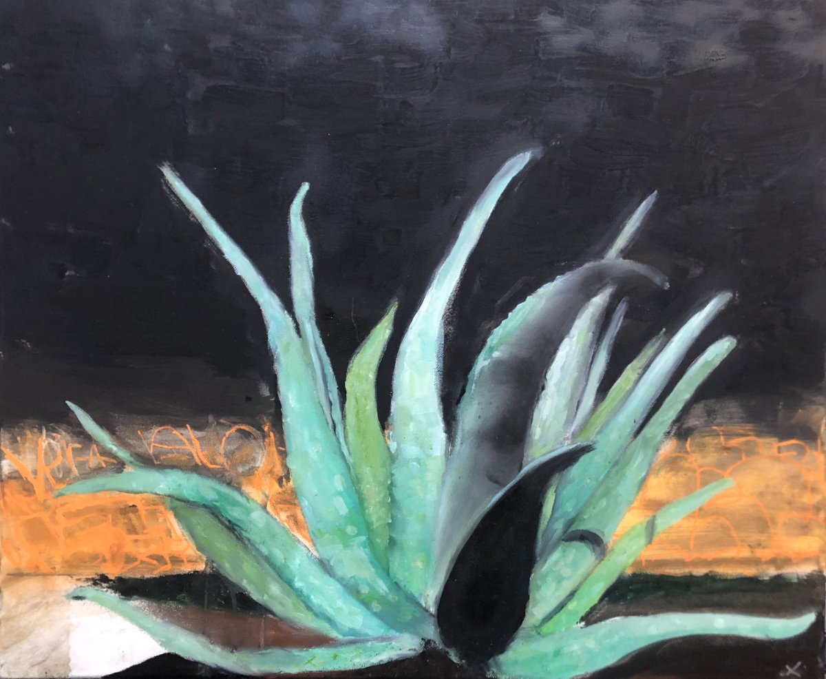 aloe vera alfa 3 - karya Mr LiGht