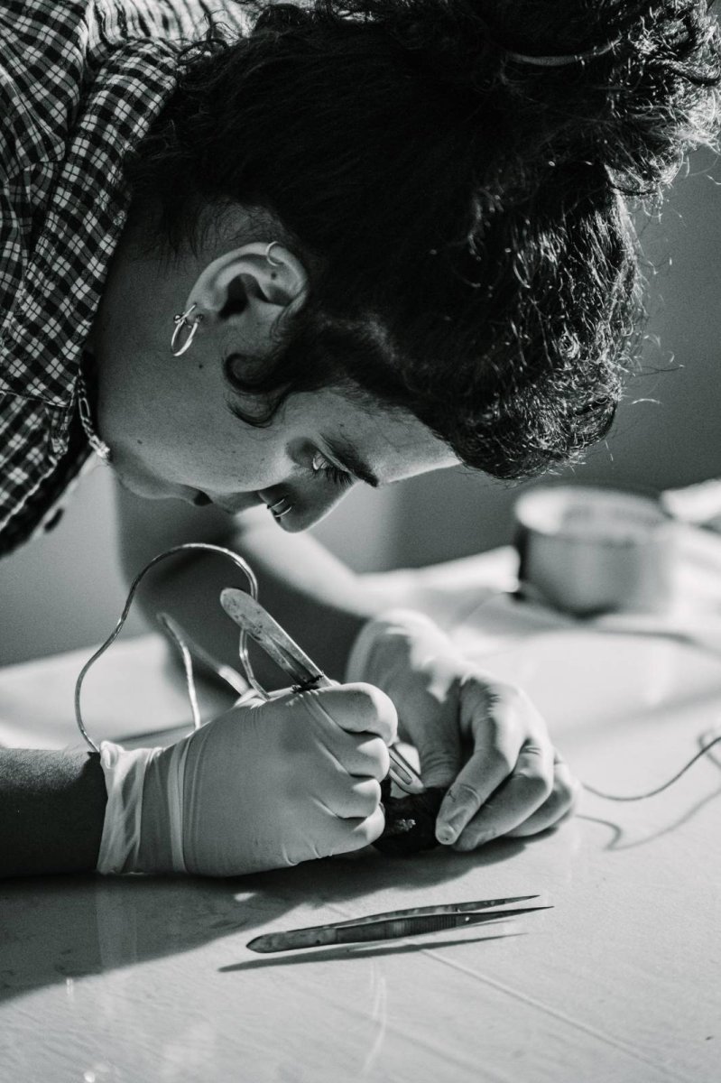 up - artwork by Catrin Manoli a.k.a. Cooky