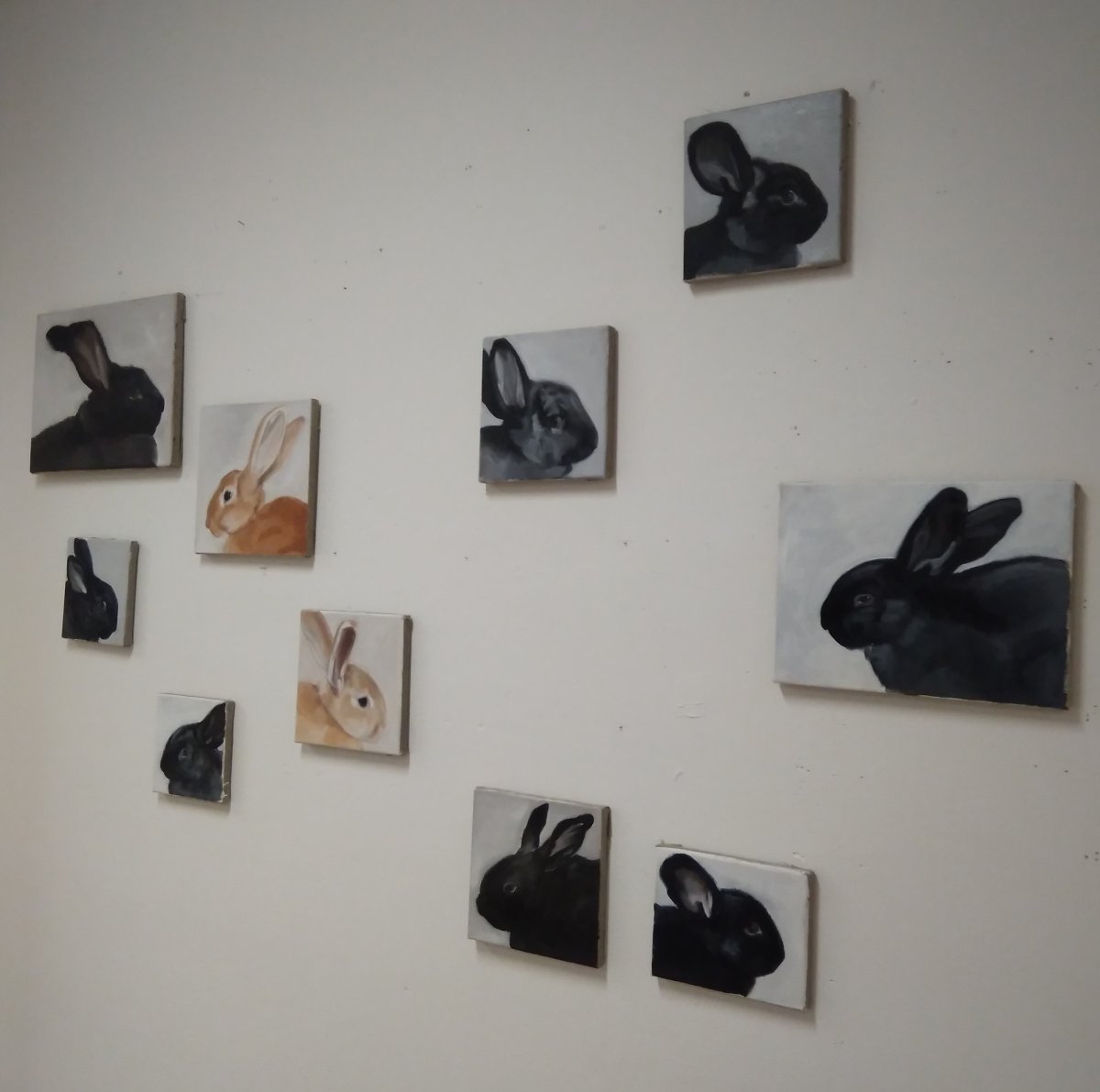 Pohledy králíků, olej na plátně, 2019/2020, různé velikosti - artwork by Lenka Zadražilová