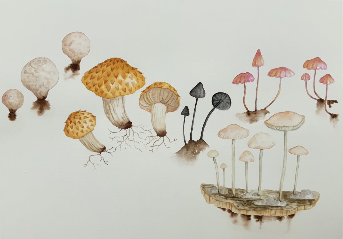 Petra Pohlová dílo 10