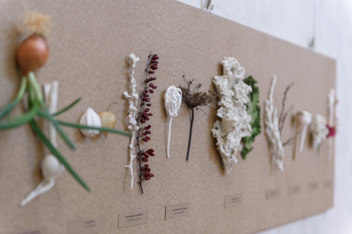 Real Plants in Porcelain, 2026 - artwork by Diana Grochovska