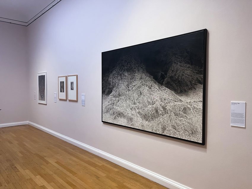 exhibition “Edvard Munch. Angst”, Kunstsammlungen Chemnitz, Germany, 2025 - artwork by Lenka Falušiová