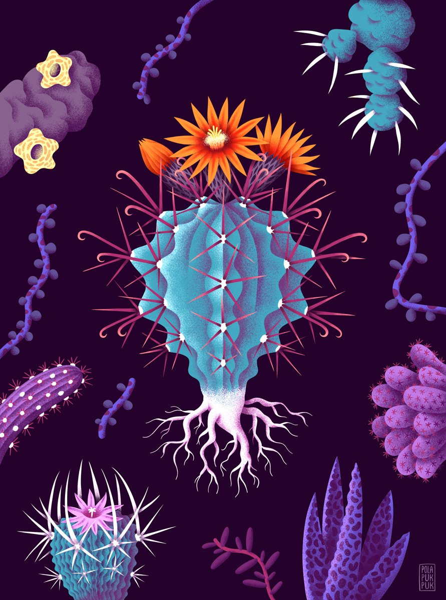 Moji kaktusí přátelé - dílo od Petra Pohlová