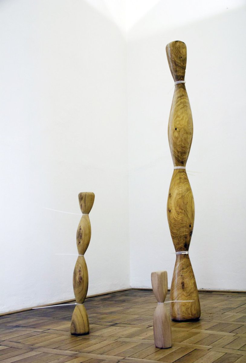 Dřevo svázané plastovými řemínky, dřevo, plast, 2017 - dílo od Jan Turner