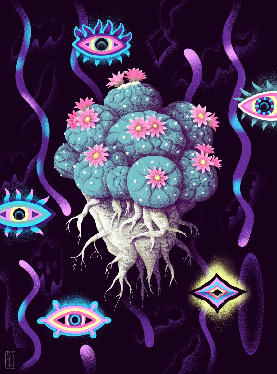 Moji kaktusí přátelé - dílo od Petra Pohlová