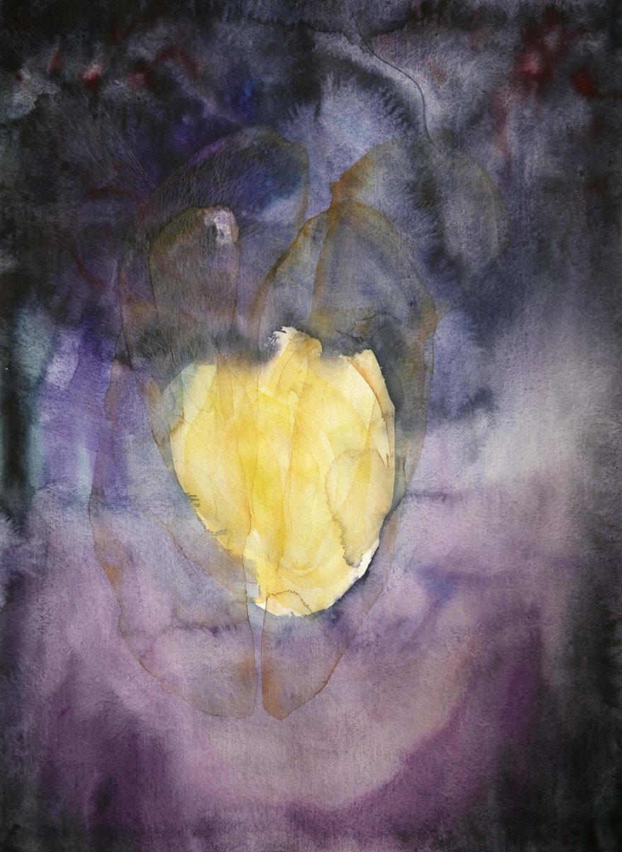 Žluté máky,  70 x 50 cm, akvarel na ručním papíře, 2026 - artwork by Pavla Gajdošíková