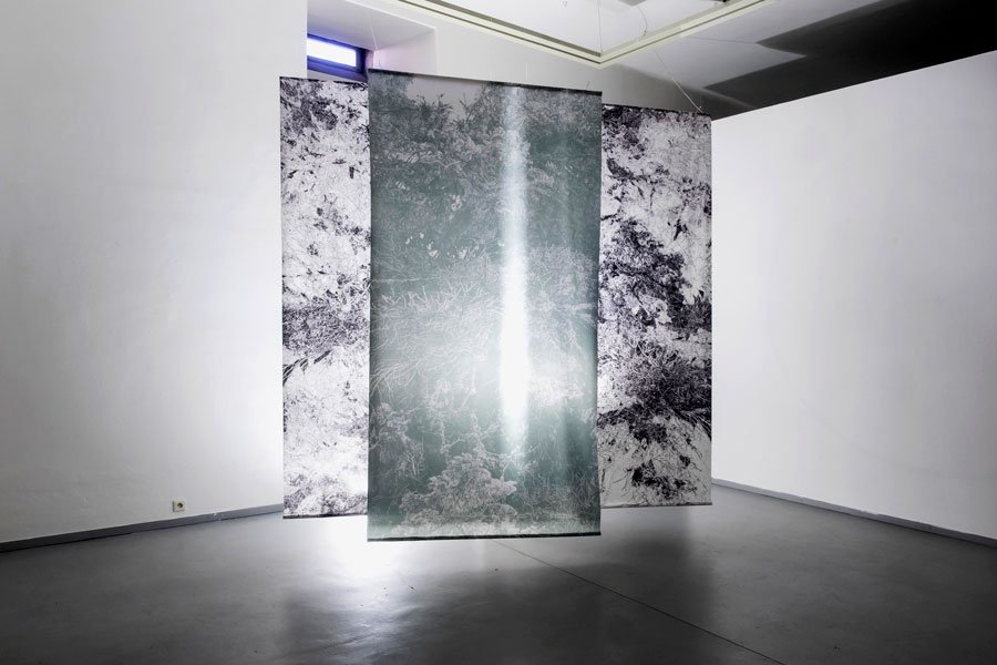 exhibition “Silver Waters Flow Down the Steps of the Forest”, Caesar Gallery in Olomouc, 2023 - artwork by Lenka Falušiová