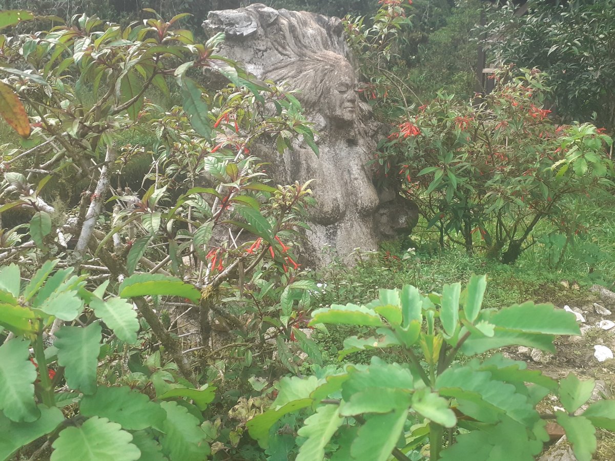 Kateřina Pěkná artwork 4