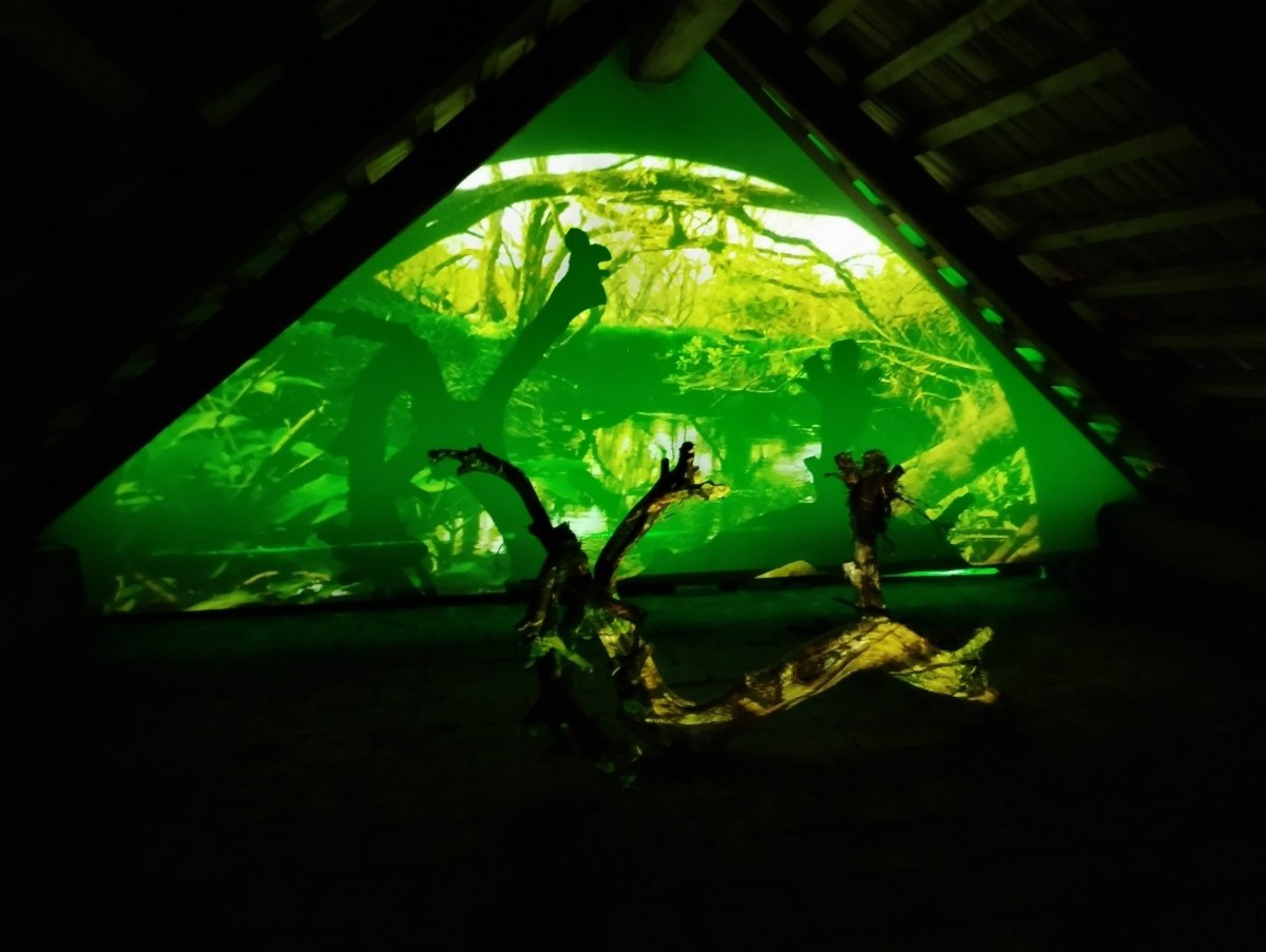 Wilderness, 2024 - artwork by Jakub Orel Tomáš