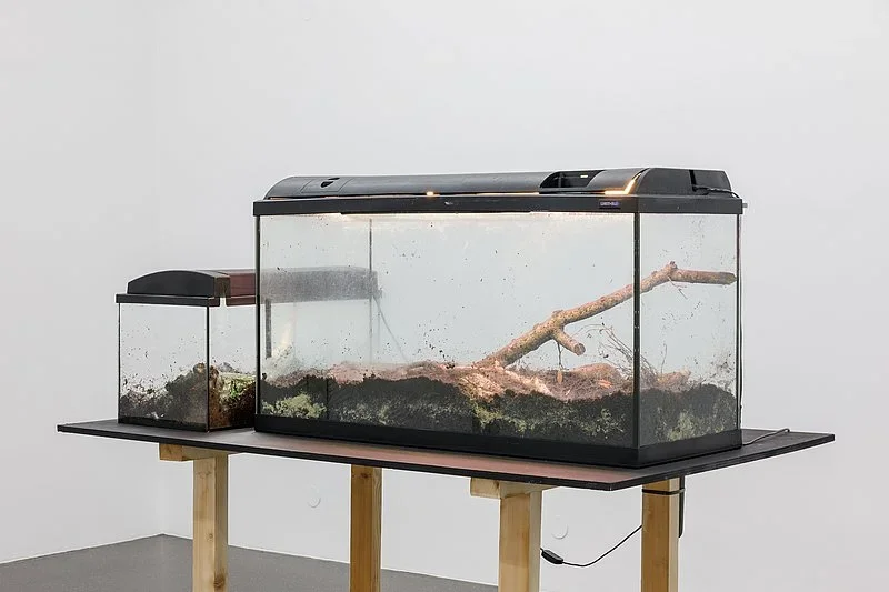 Blue Eyes, Brown Eyes, 2023 - artwork by Catrin Manoli a.k.a. Cooky