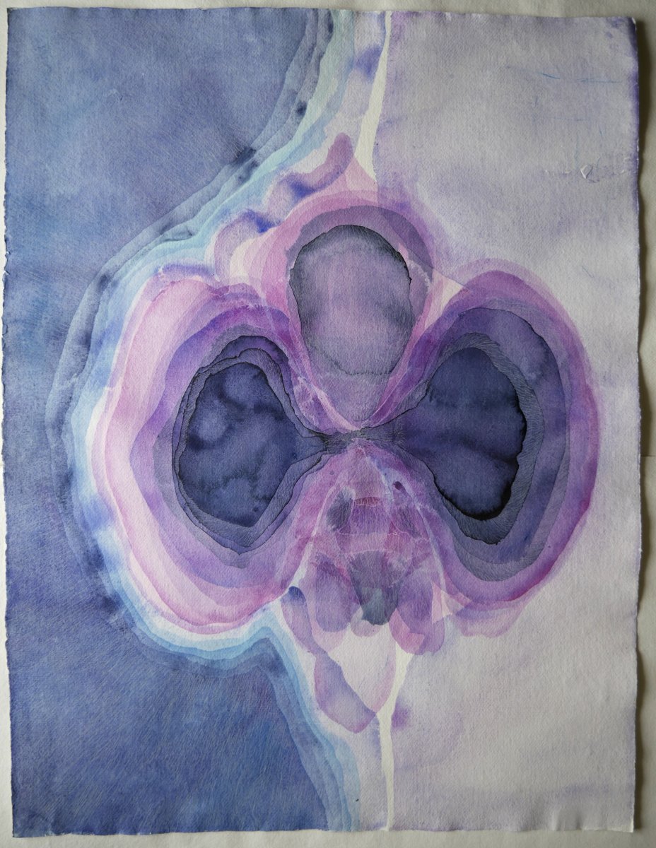 Orchidej, 70 x 50 cm, akvarel a pastelka na ručním papíře, 2025 - artwork by Pavla Gajdošíková