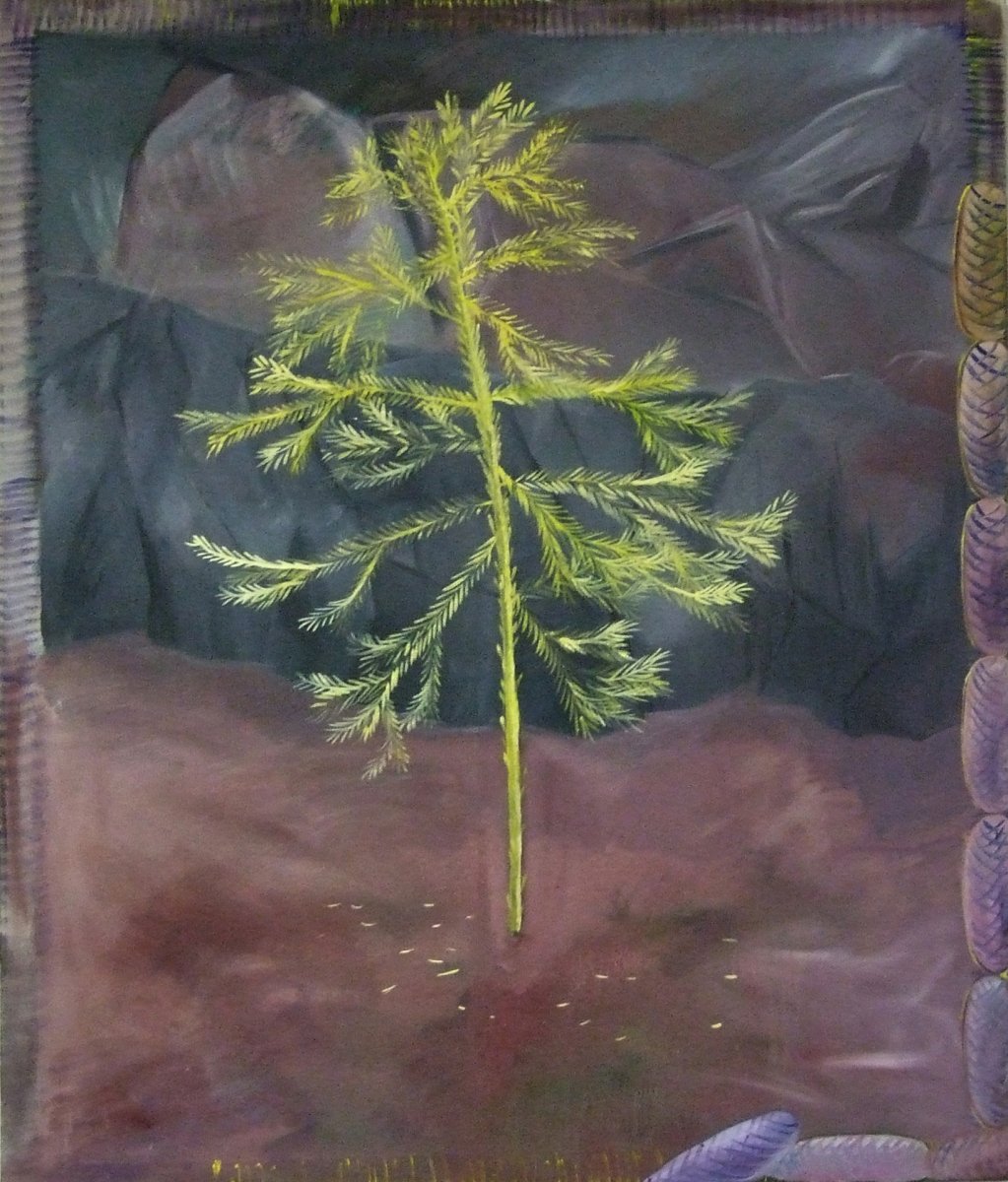 Pine cones 21 / oil on canvas / 100x120 / 2017 - artwork by Marie Vránová