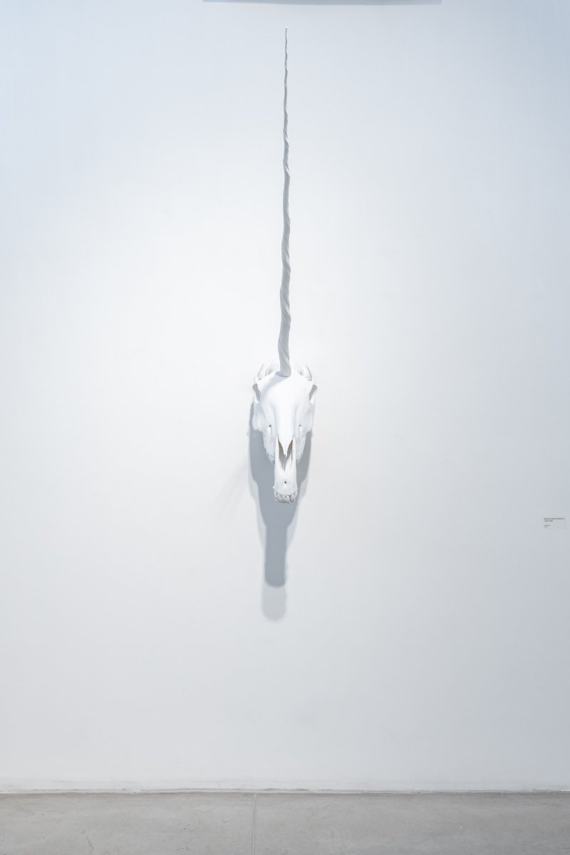 Unicorn (2023) - artwork by Monika Váňová Horčicová