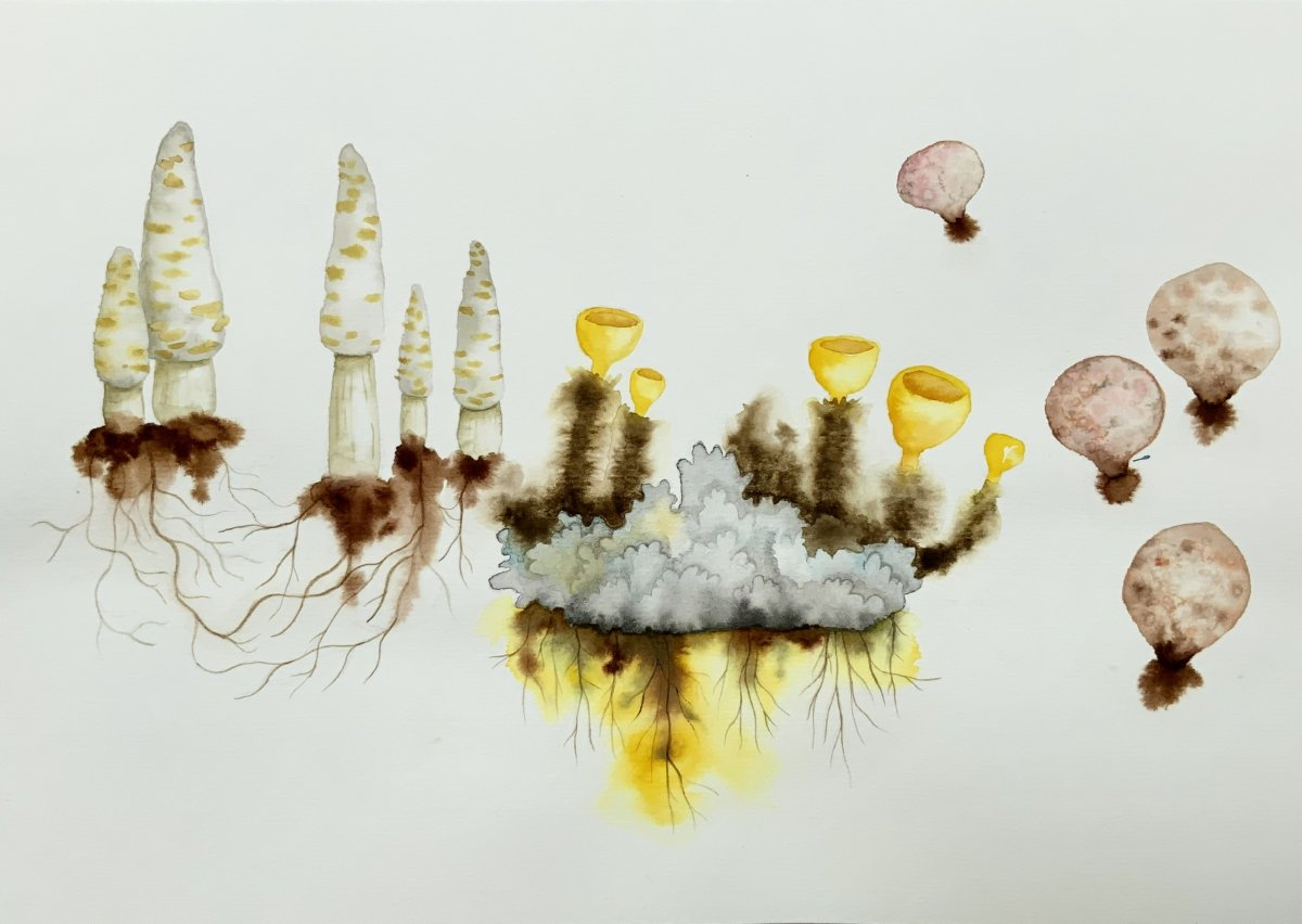 Petra Pohlová dílo 9