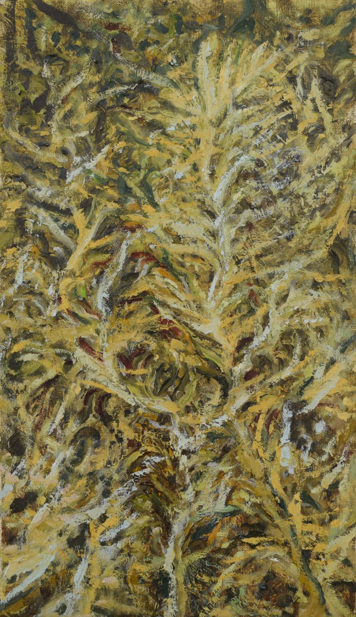 Sosni czub Strawianie, 35 x 20 cm - artwork by Artur Wieczerzyński