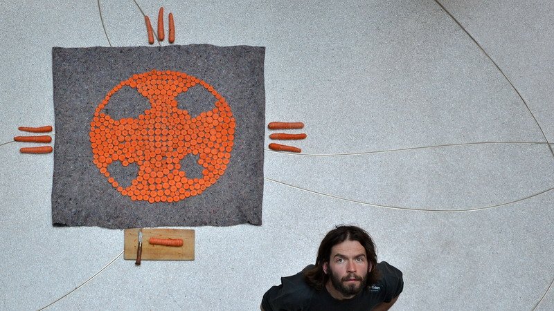 Záhon petržele, Brno 2011 - artwork by Matěj Kolář