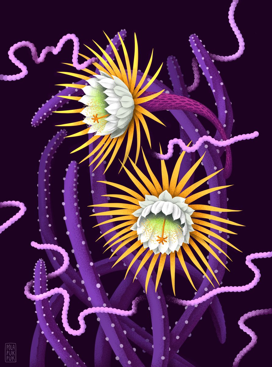 Moji kaktusí přátelé - dílo od Petra Pohlová