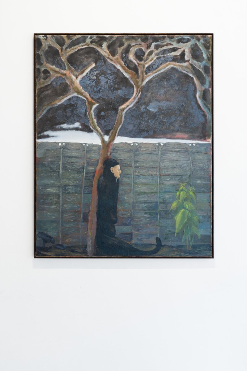 sen/Louny, 2026 - dílo od Štěpán Brož