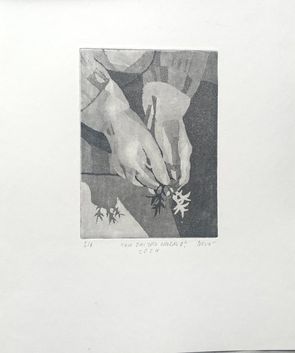 Where Did My Garden Go?, 2024 - artwork by Olga Nová