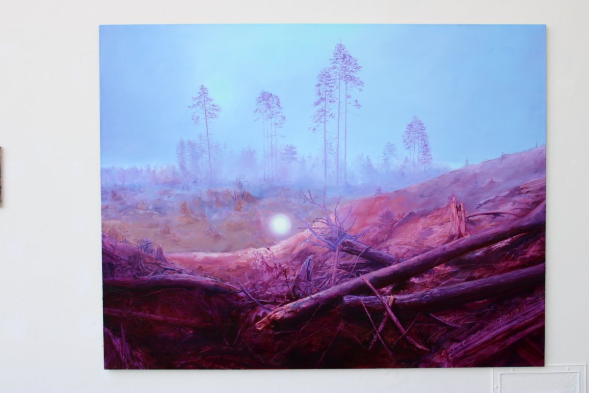 Marsovska bludicka - artwork by Jitka Mikolášková